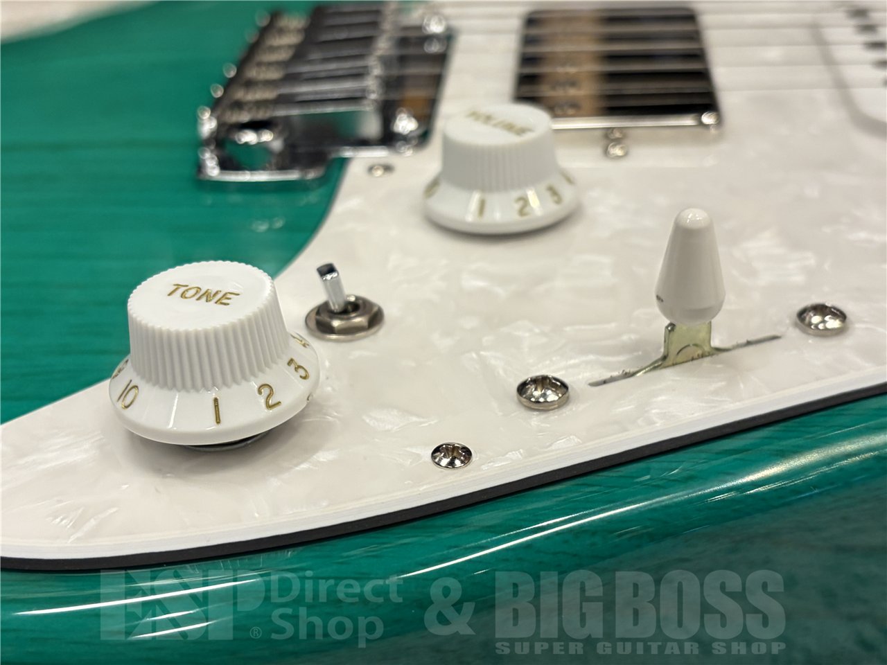 【即納可能】EDWARDS（エドワーズ）E-SNAPPER-AS/M（Turquoise）　名古屋店