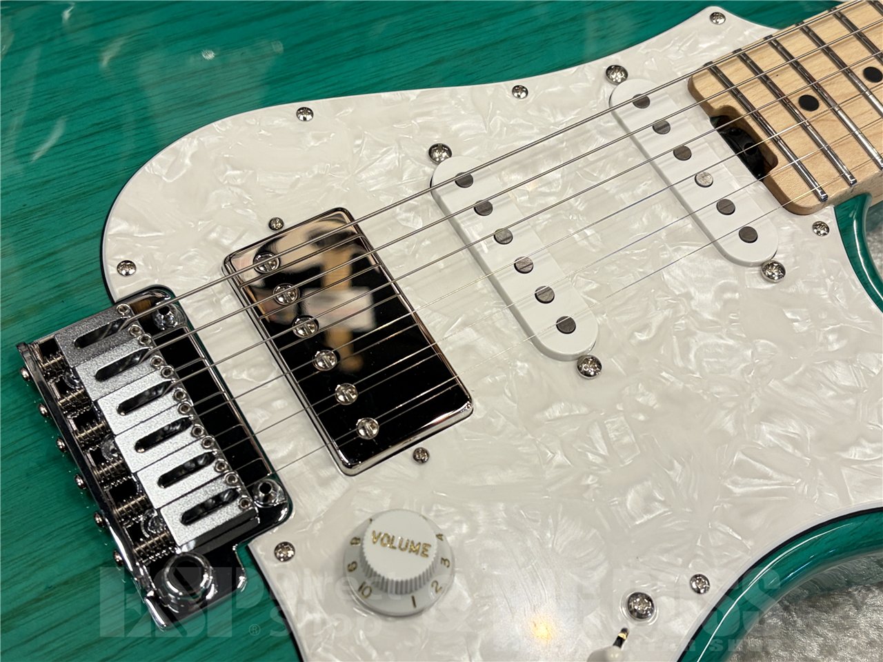 【即納可能】EDWARDS（エドワーズ）E-SNAPPER-AS/M（Turquoise）　名古屋店