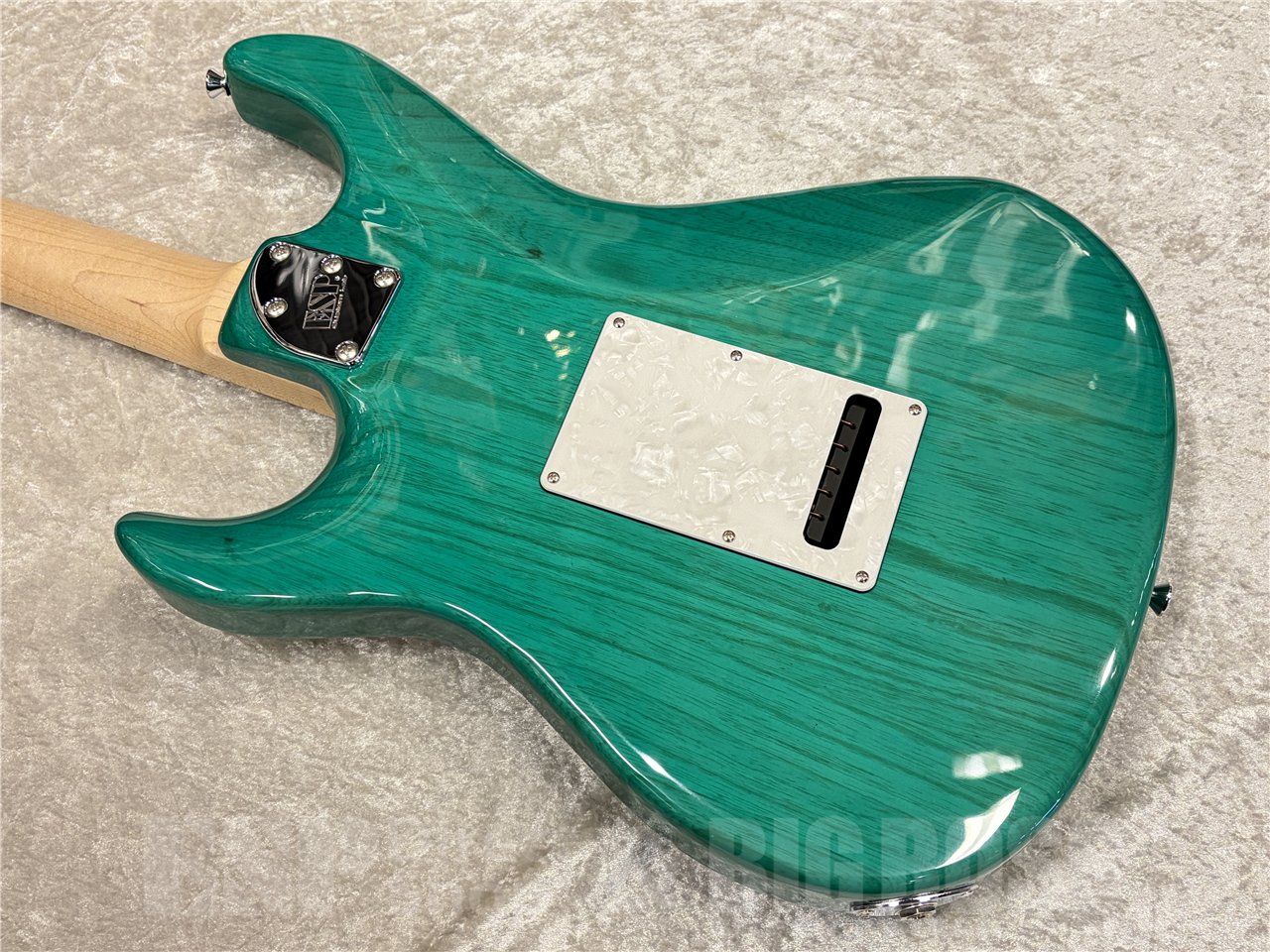 【即納可能】EDWARDS（エドワーズ）E-SNAPPER-AS/M（Turquoise）　名古屋店