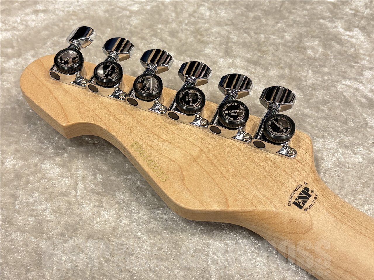 【即納可能】EDWARDS（エドワーズ）E-SNAPPER-AS/M（Turquoise）　名古屋店