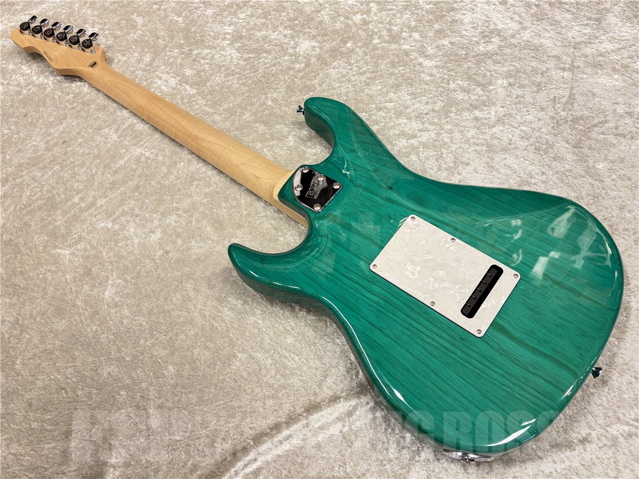 【即納可能】EDWARDS（エドワーズ）E-SNAPPER-AS/M（Turquoise）　名古屋店