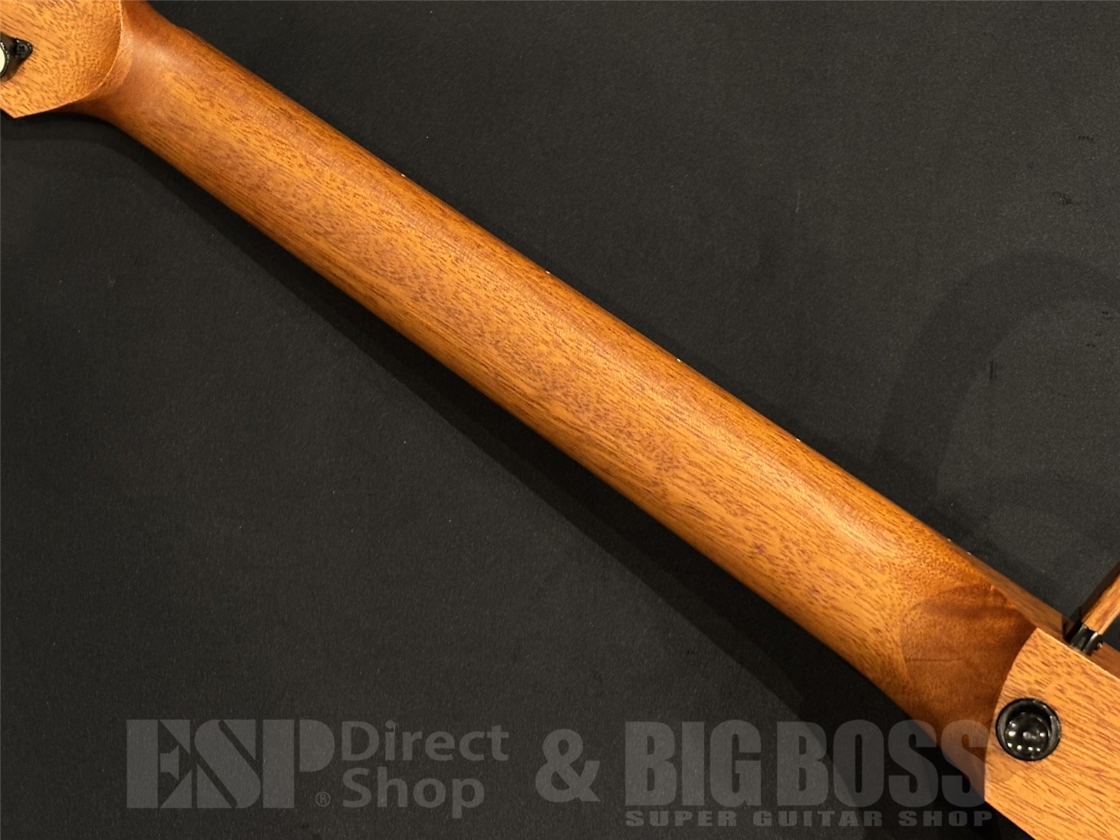【即納可能】NATASHA(ナターシャ)NBSG Steel Mahogany 京都店