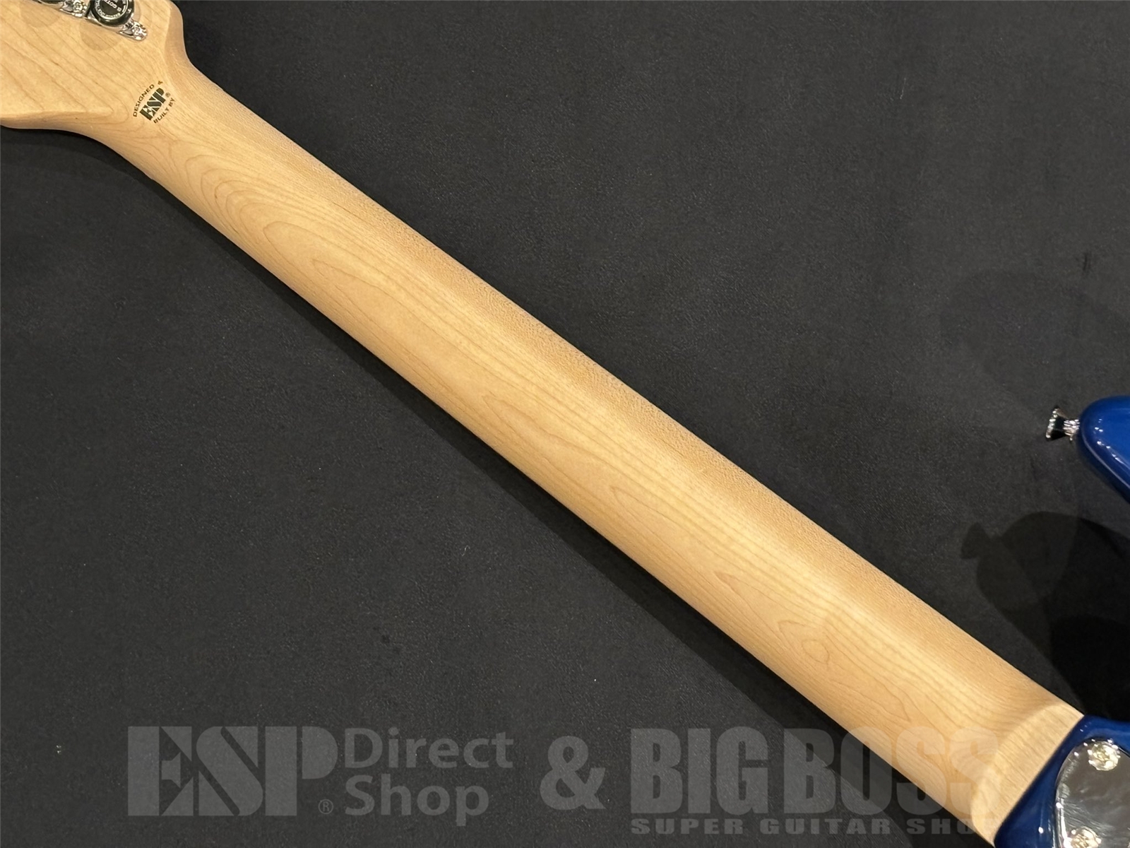 【即納可能】EDWARDS(エドワーズ) E-SNAPPER-AS/M / See Thru Blue Sunburst 京都店