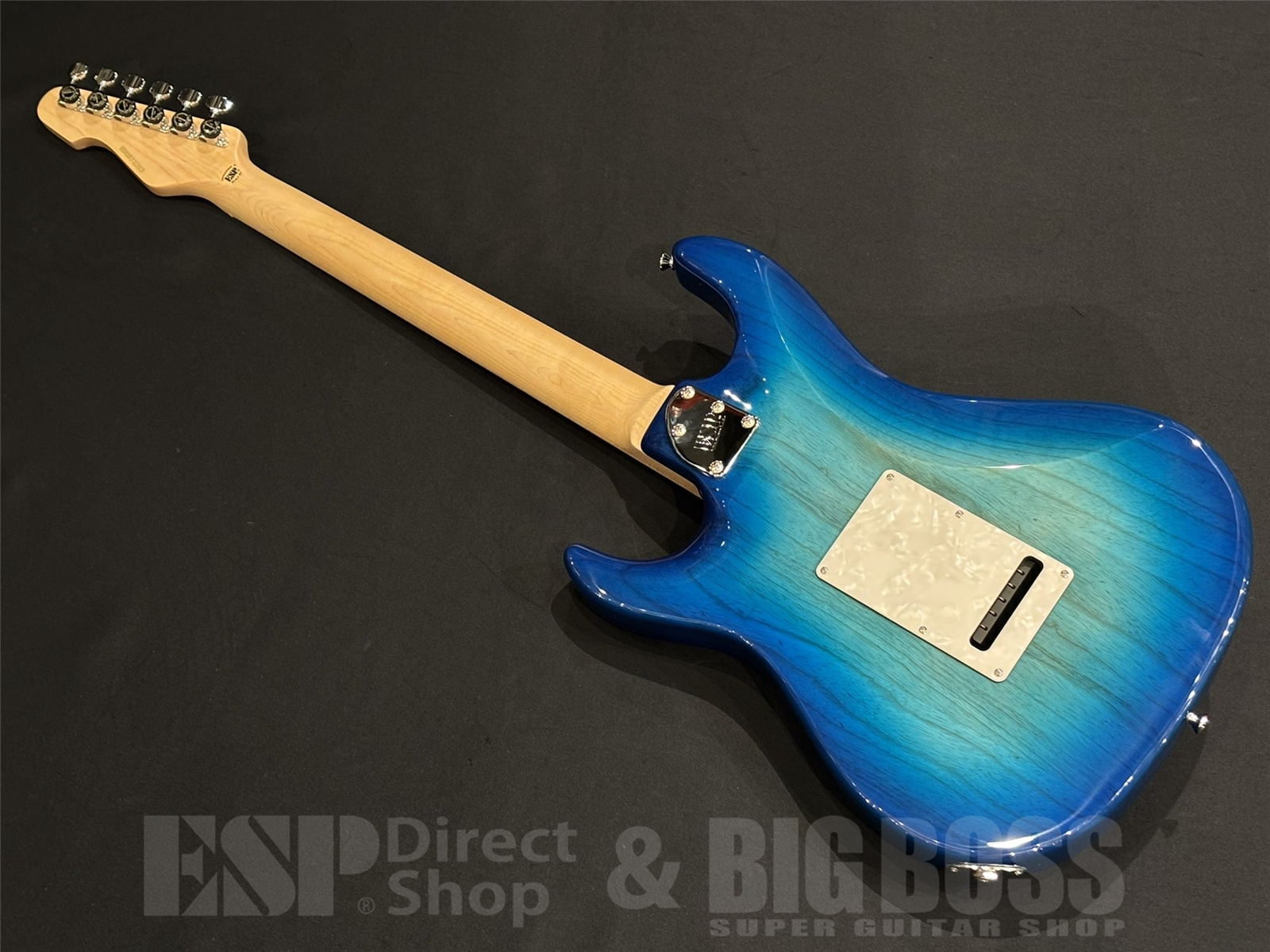 【即納可能】EDWARDS(エドワーズ) E-SNAPPER-AS/M / See Thru Blue Sunburst 京都店