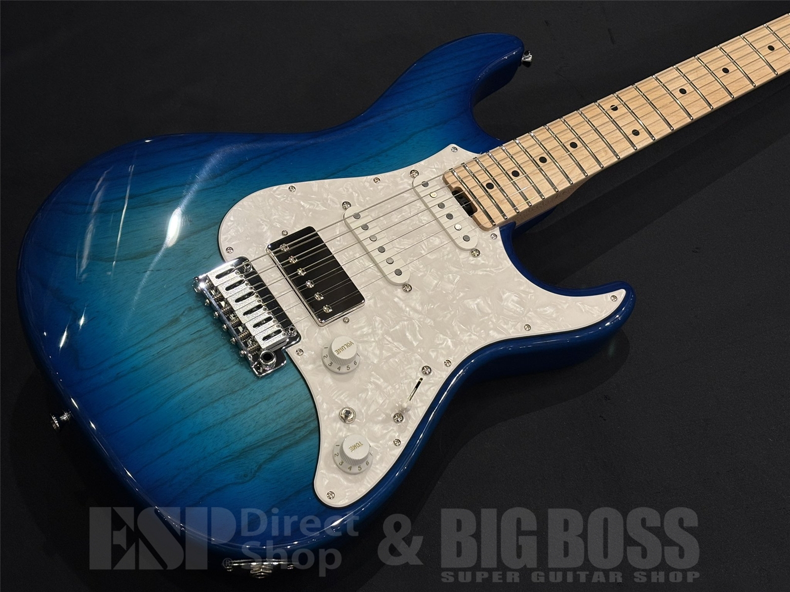【即納可能】EDWARDS(エドワーズ) E-SNAPPER-AS/M / See Thru Blue Sunburst 京都店