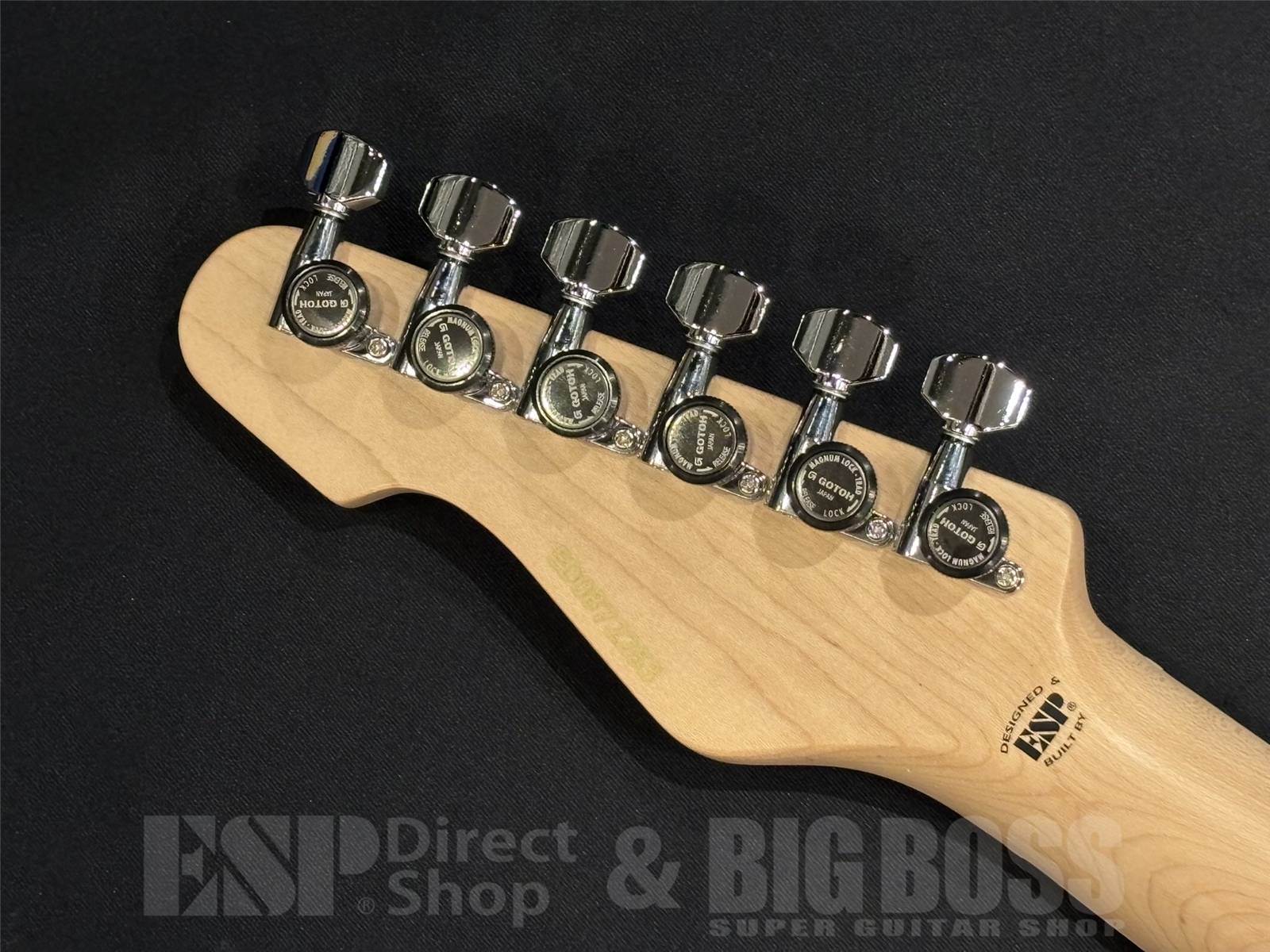 【即納可能】EDWARDS(エドワーズ) E-SNAPPER-AS/M / See Thru Blue Sunburst 京都店