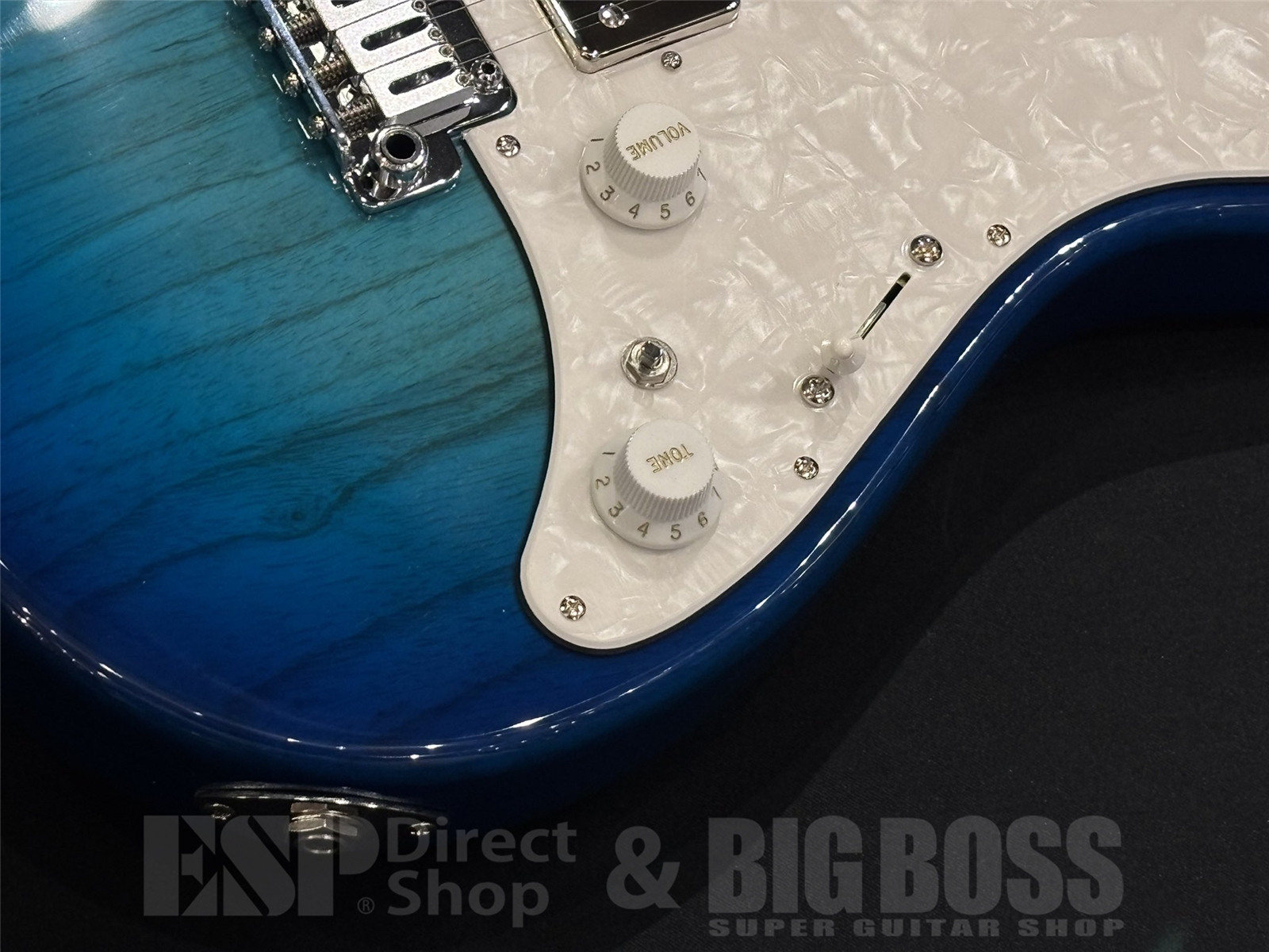 【即納可能】EDWARDS(エドワーズ) E-SNAPPER-AS/M / See Thru Blue Sunburst 京都店