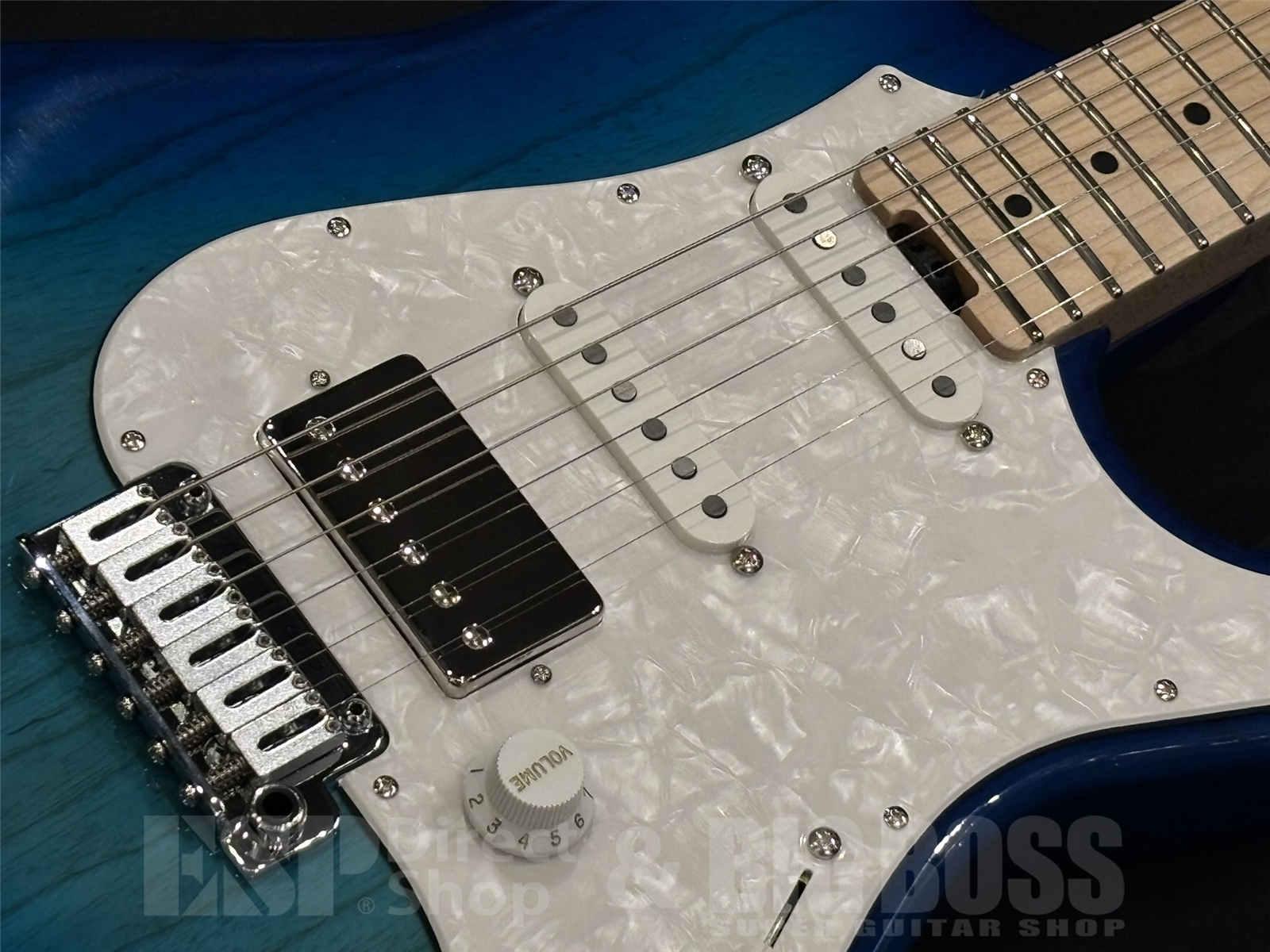 【即納可能】EDWARDS(エドワーズ) E-SNAPPER-AS/M / See Thru Blue Sunburst 京都店