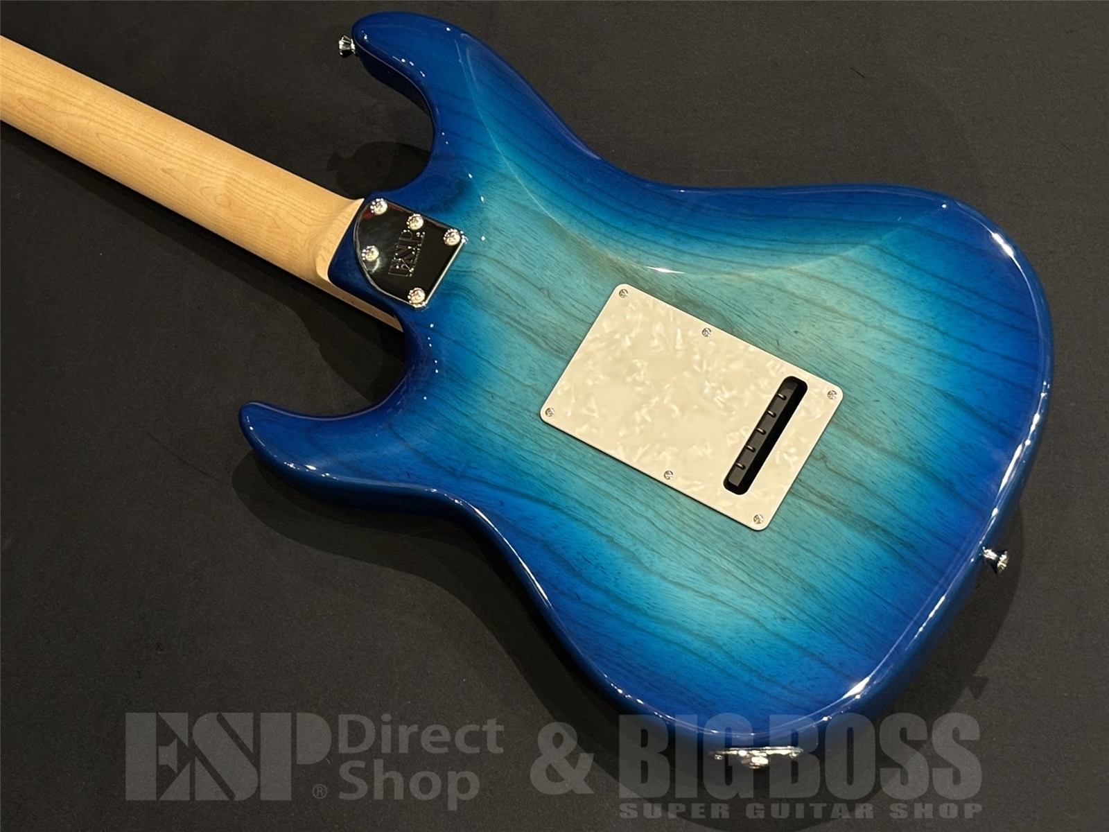 【即納可能】EDWARDS(エドワーズ) E-SNAPPER-AS/M / See Thru Blue Sunburst 京都店
