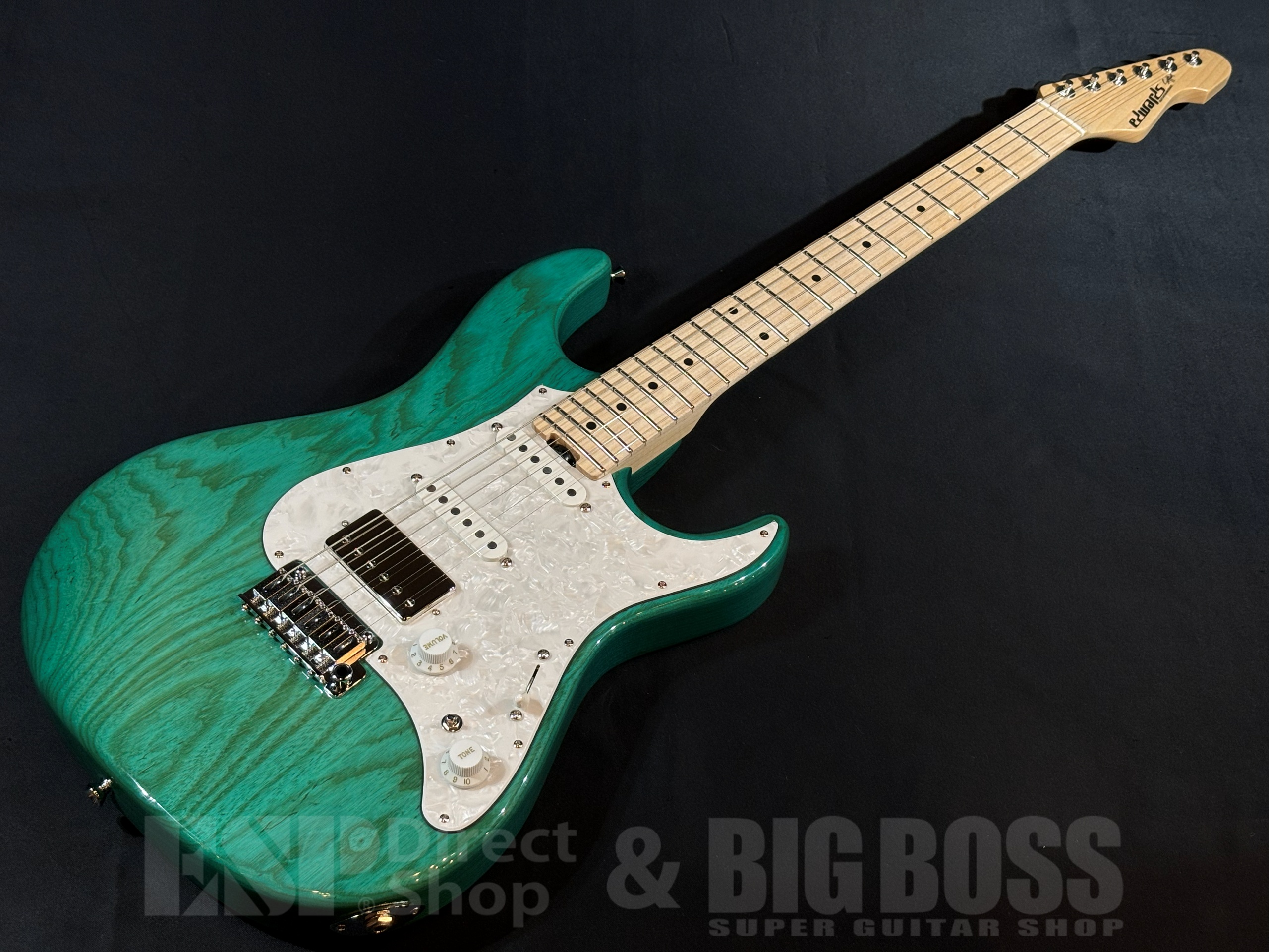 【即納可能】EDWARDS(エドワーズ) E-SNAPPER-AS/M Turquoise 大阪店