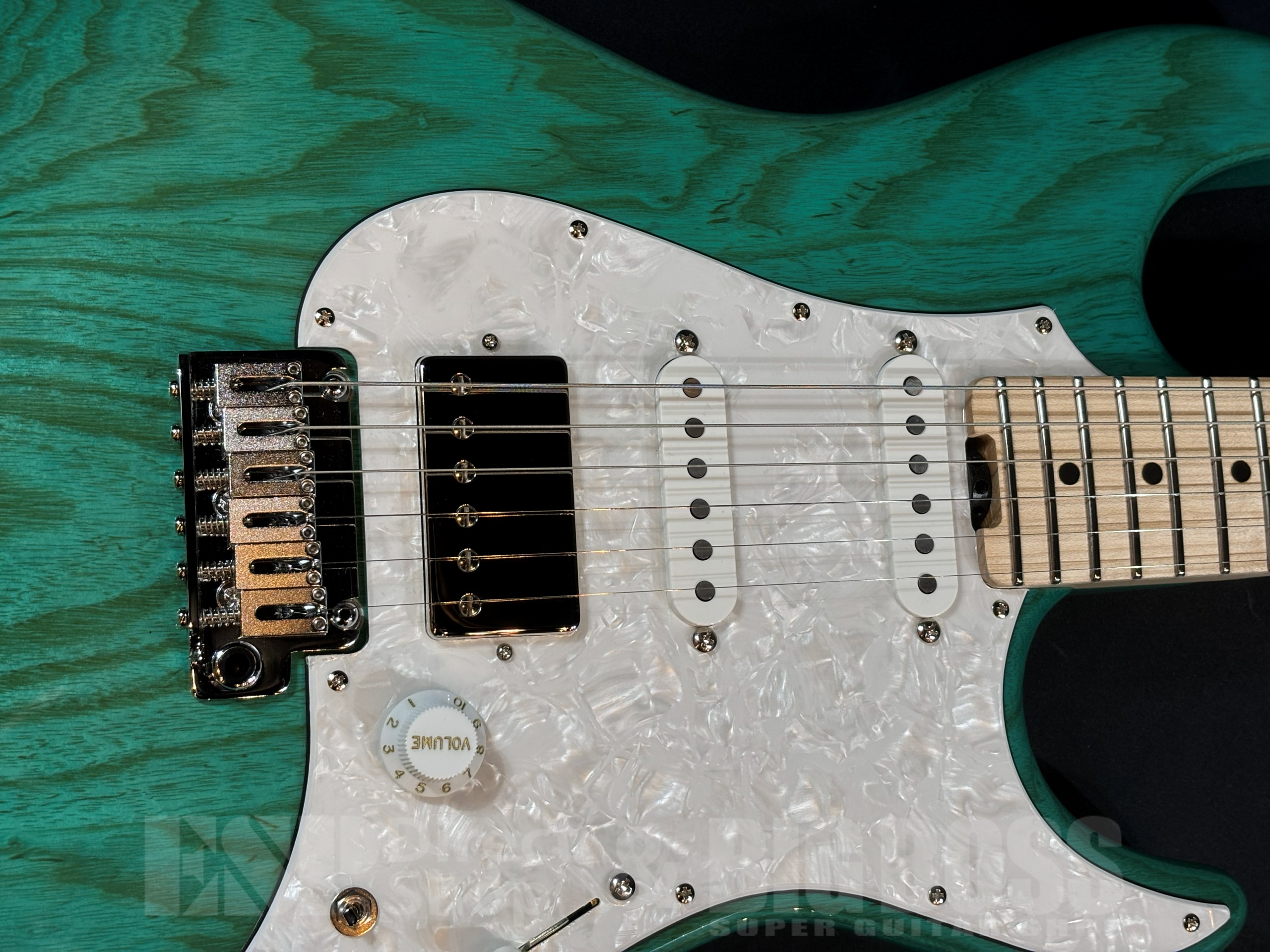 【即納可能】EDWARDS(エドワーズ) E-SNAPPER-AS/M Turquoise 大阪店