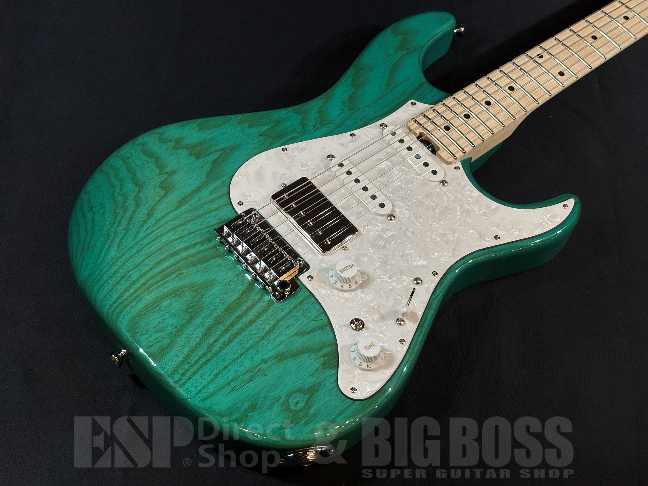 【即納可能】EDWARDS(エドワーズ) E-SNAPPER-AS/M Turquoise 大阪店