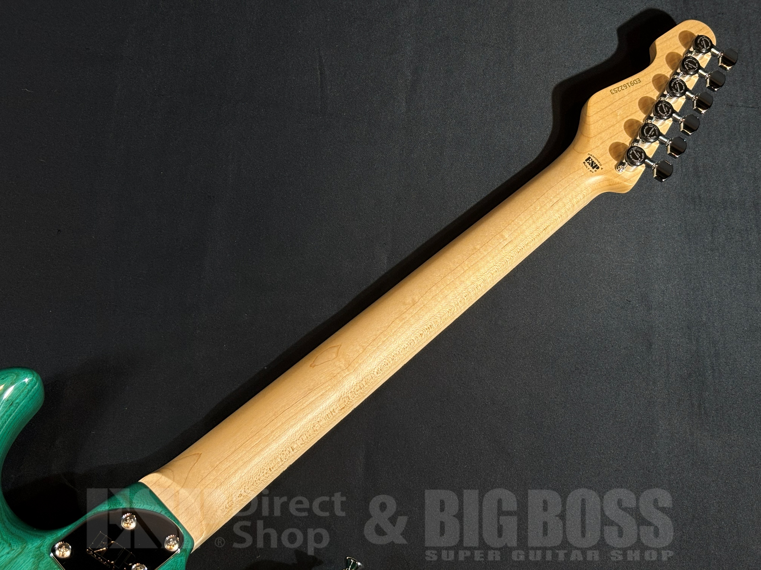 【即納可能】EDWARDS(エドワーズ) E-SNAPPER-AS/M Turquoise 大阪店