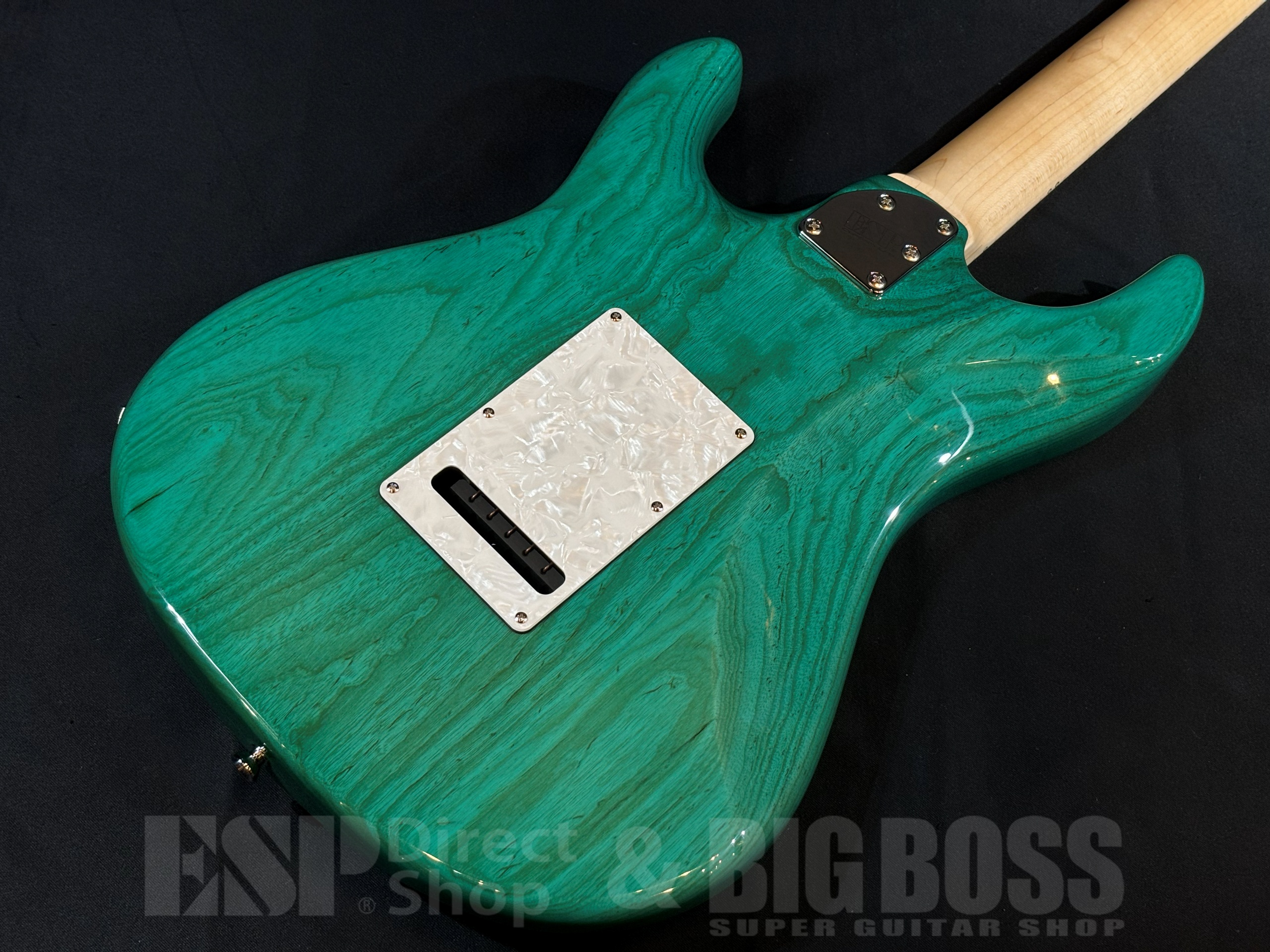 【即納可能】EDWARDS(エドワーズ) E-SNAPPER-AS/M Turquoise 大阪店