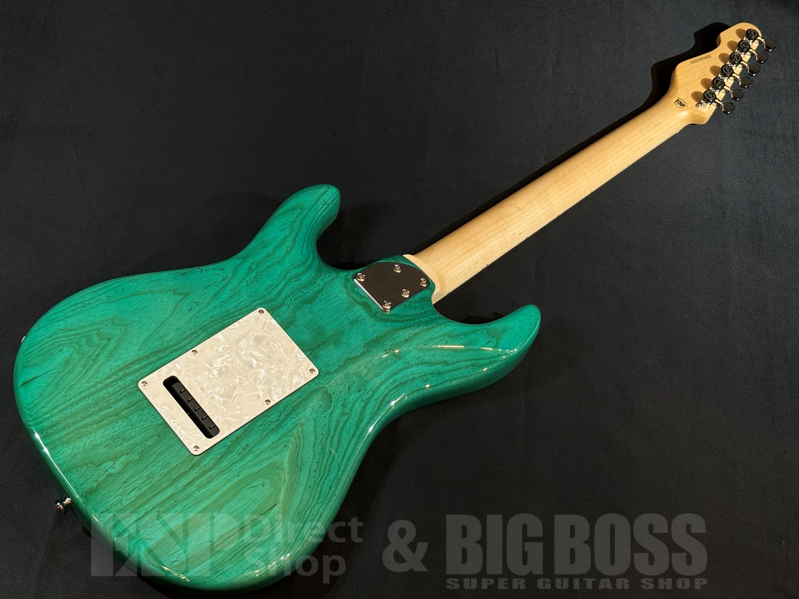 【即納可能】EDWARDS(エドワーズ) E-SNAPPER-AS/M Turquoise 大阪店