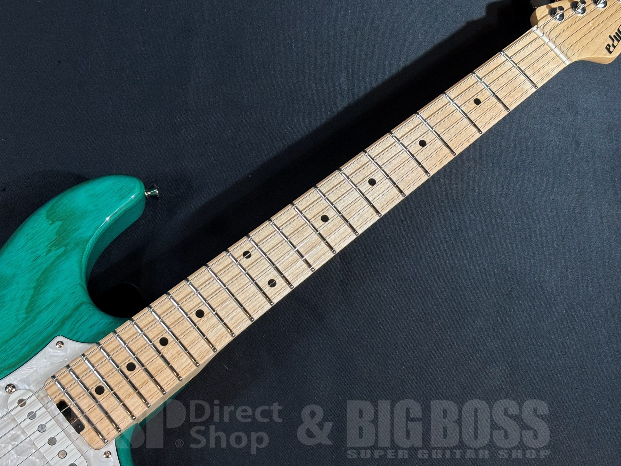 【即納可能】EDWARDS(エドワーズ) E-SNAPPER-AS/M Turquoise 大阪店