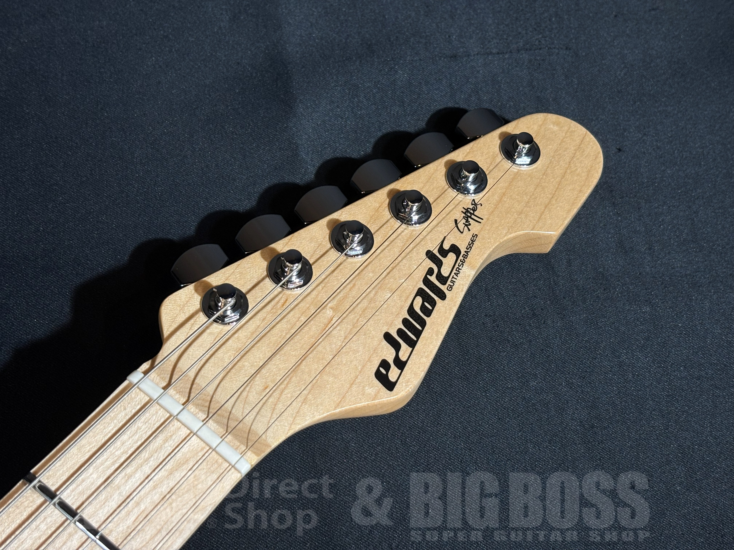 【即納可能】EDWARDS(エドワーズ) E-SNAPPER-AS/M Turquoise 大阪店