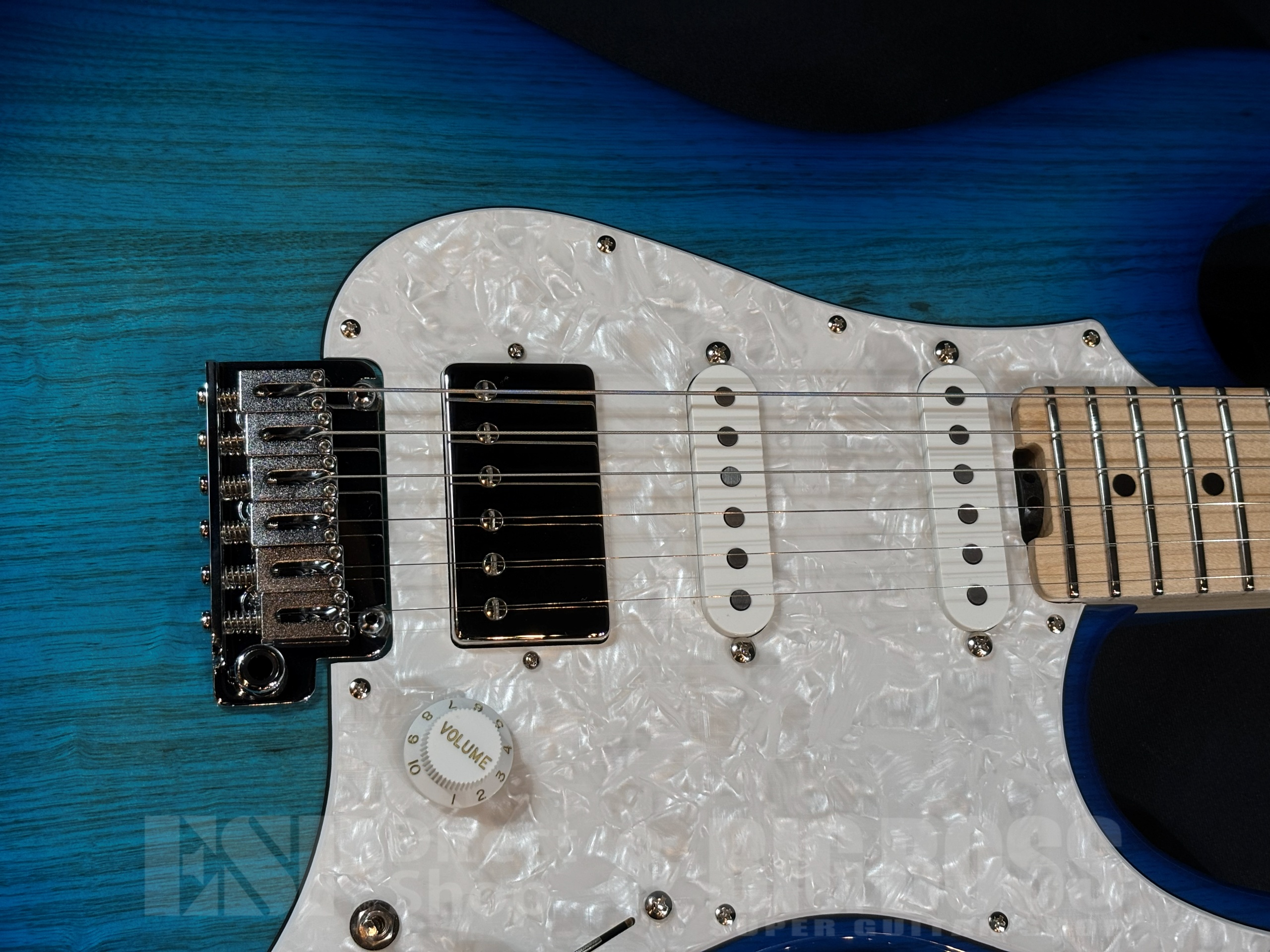 【即納可能】EDWARDS(エドワーズ) E-SNAPPER-AS/M See Thru Blue Sunburst 大阪店