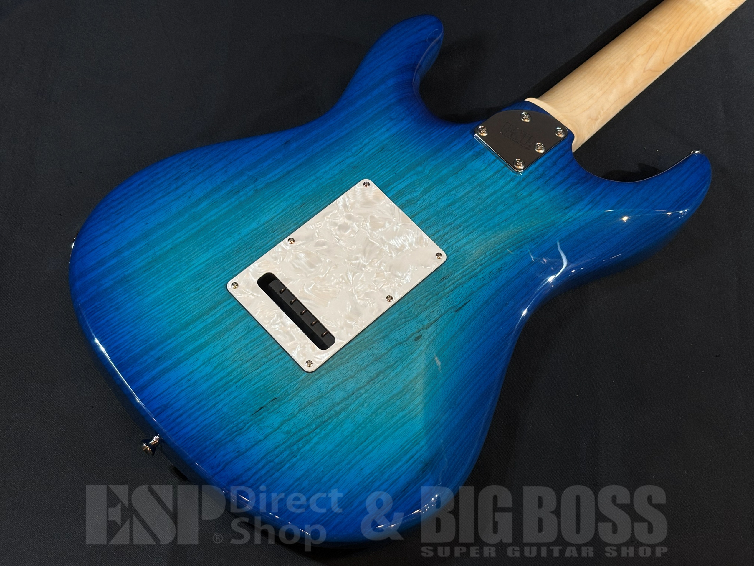 【即納可能】EDWARDS(エドワーズ) E-SNAPPER-AS/M See Thru Blue Sunburst 大阪店