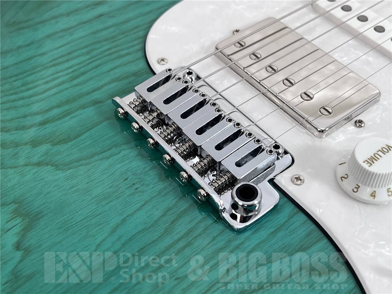 【即納可能】EDWARDS(エドワーズ) E-SNAPPER-AS/M (Turquoise) お茶の水駅前店・別館