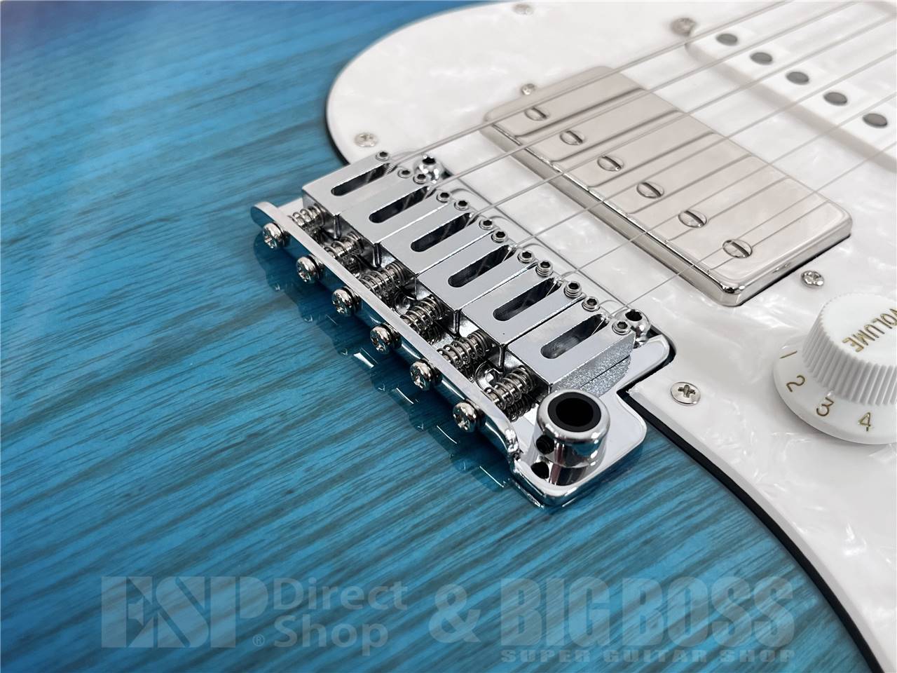 【即納可能】EDWARDS(エドワーズ) E-SNAPPER-AS/M (See Thru Blue Sunburst) お茶の水駅前店・別館