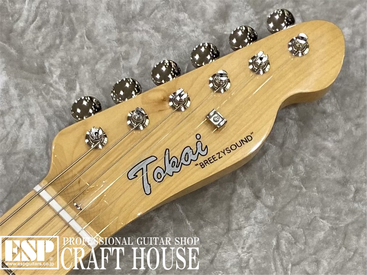 【即納可能】Tokai ATE-102 / Ice Tea Burst/M　渋谷店