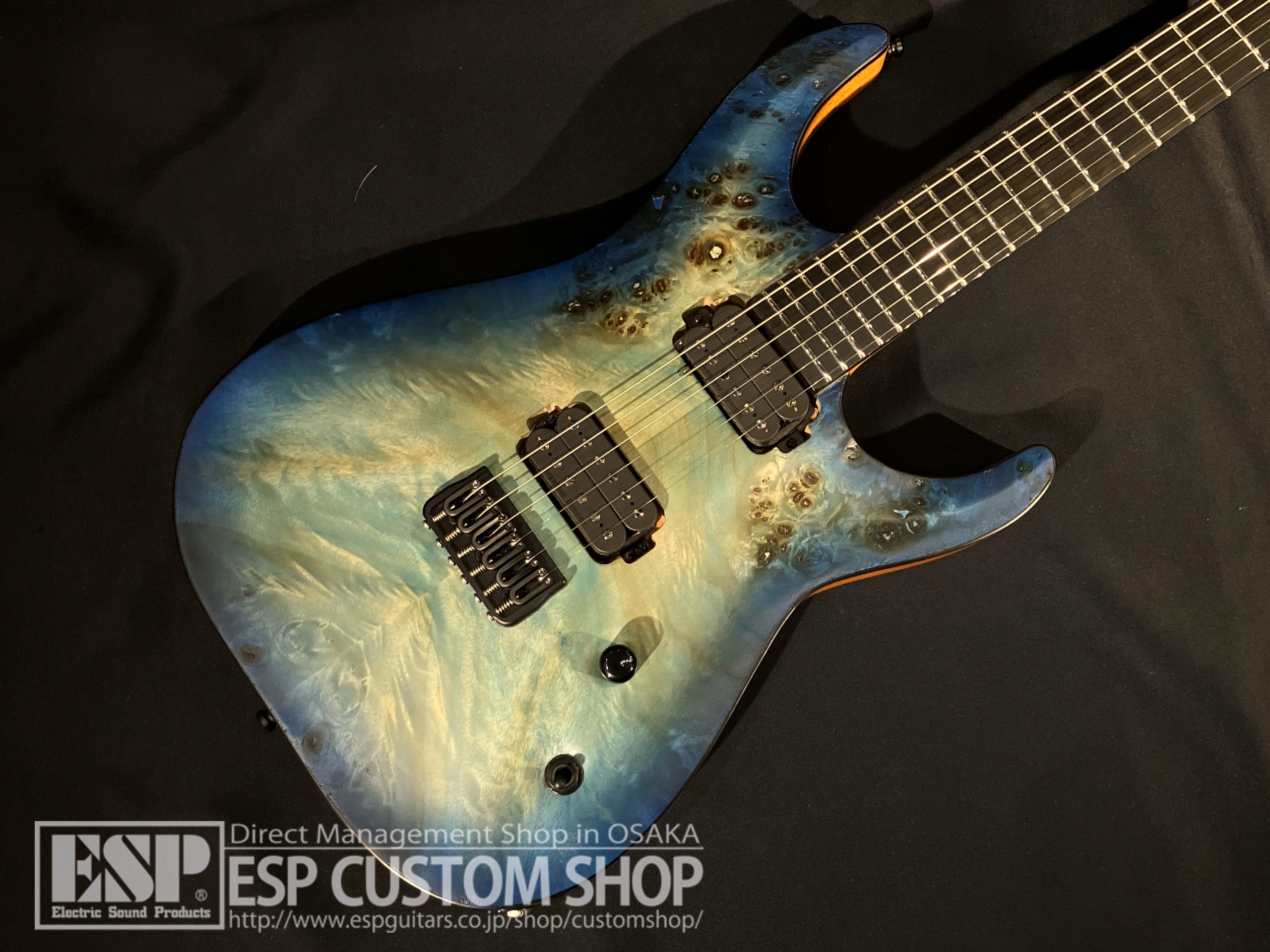 【即納可能】EDWARDS(エドワーズ) E-HR6-FX/BM Aqua Burst 大阪店