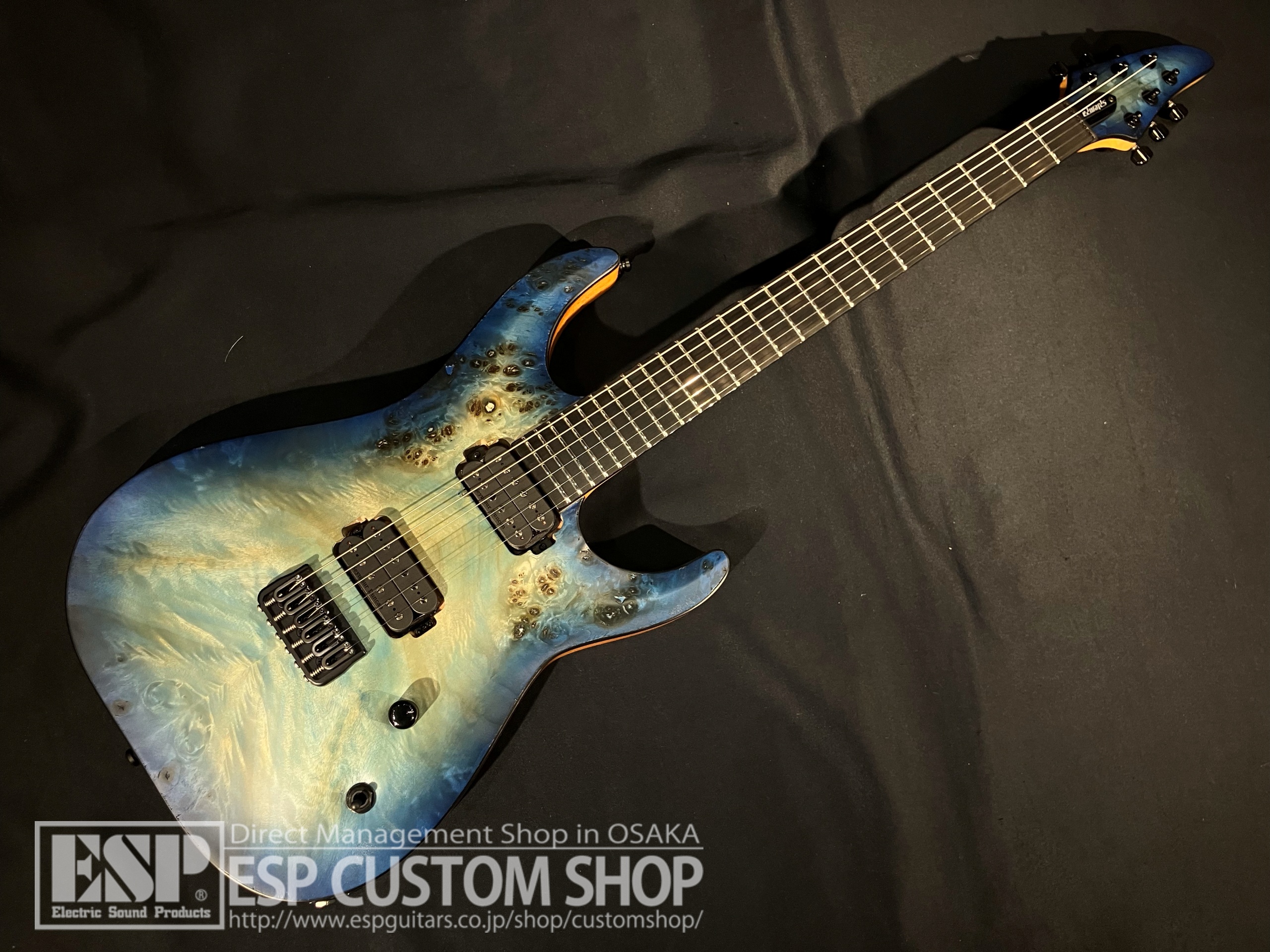 【即納可能】EDWARDS(エドワーズ) E-HR6-FX/BM Aqua Burst 大阪店