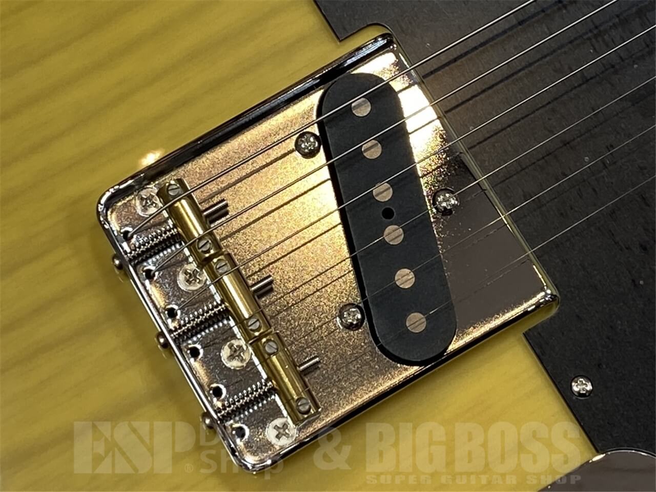 【即納可能】EDWARDS(エドワーズ) E-TE-ASM / Butter Scotch GWS