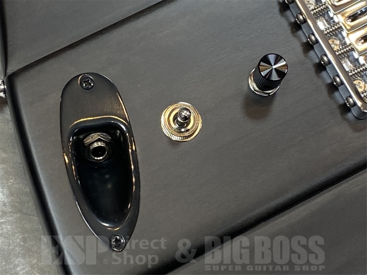 【即納可能】EDWARDS Platinum Edition/KARMASTER/滝 善充 Signature Model　GWS