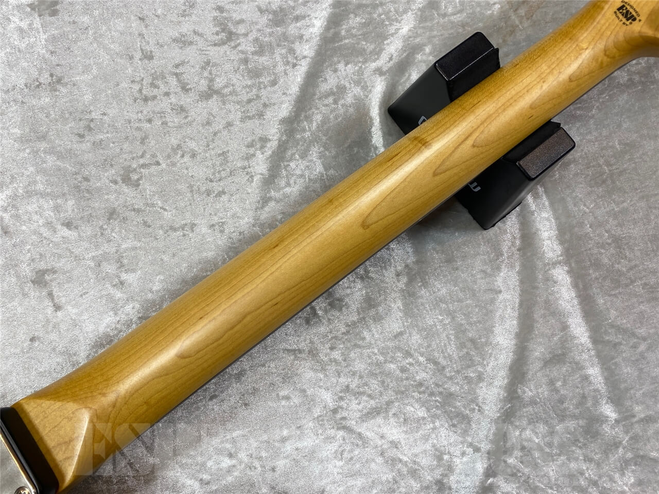 【即納可能】EDWARDS Platinum Edition/KARMASTER/滝 善充 Signature Model　GWS