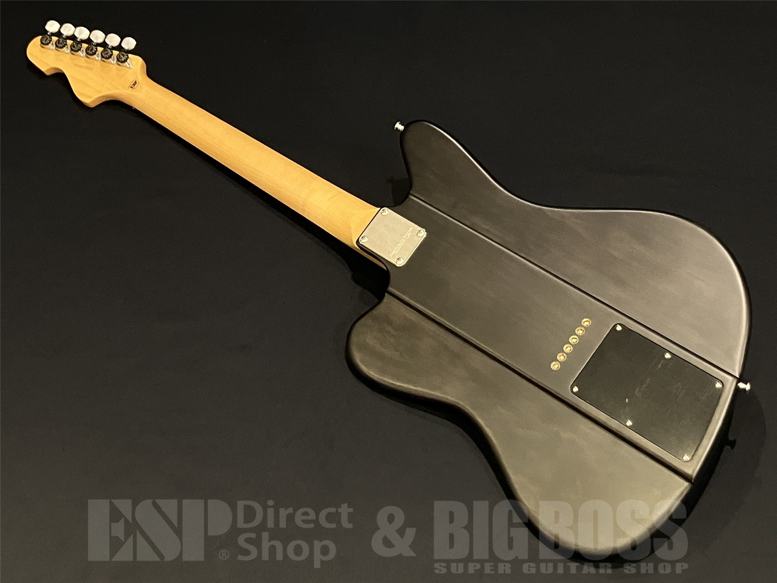 【即納可能】EDWARDS (エドワーズ)Platinum Edition KARMASTER (9mm Parabellum Bullet/滝 善充 Model) 京都店