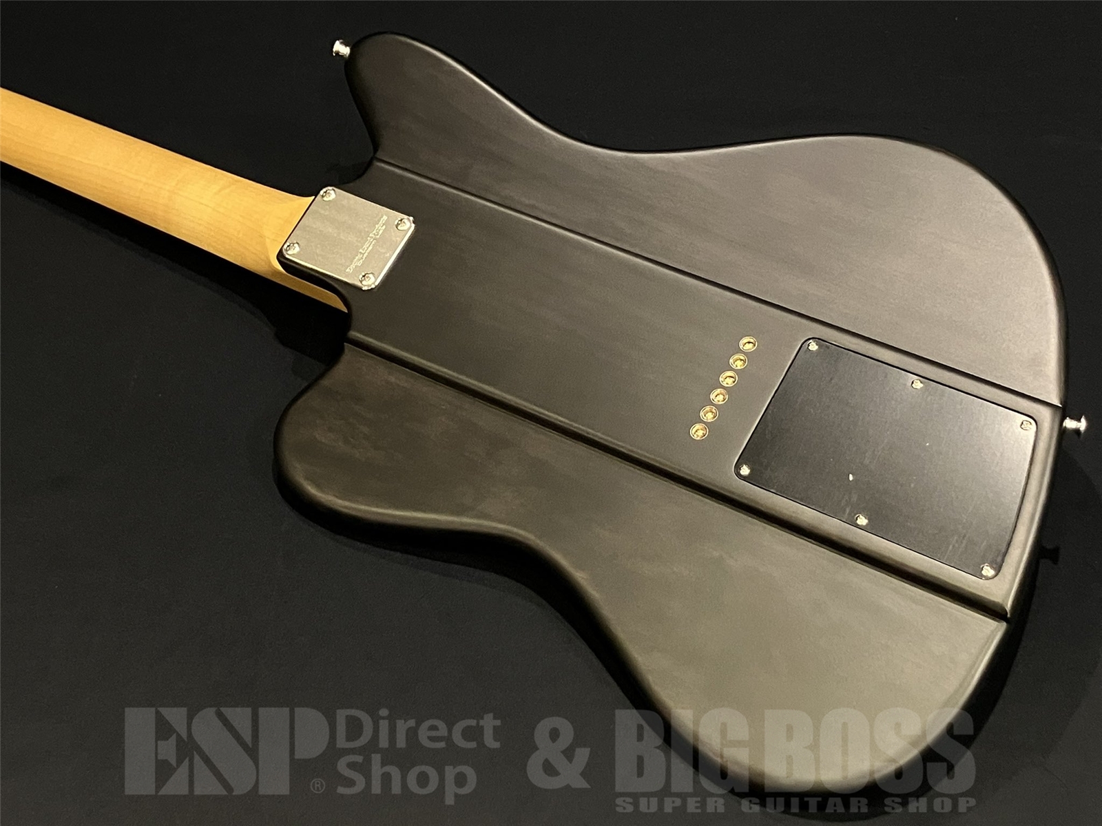 【即納可能】EDWARDS (エドワーズ)Platinum Edition KARMASTER (9mm Parabellum Bullet/滝 善充 Model) 京都店