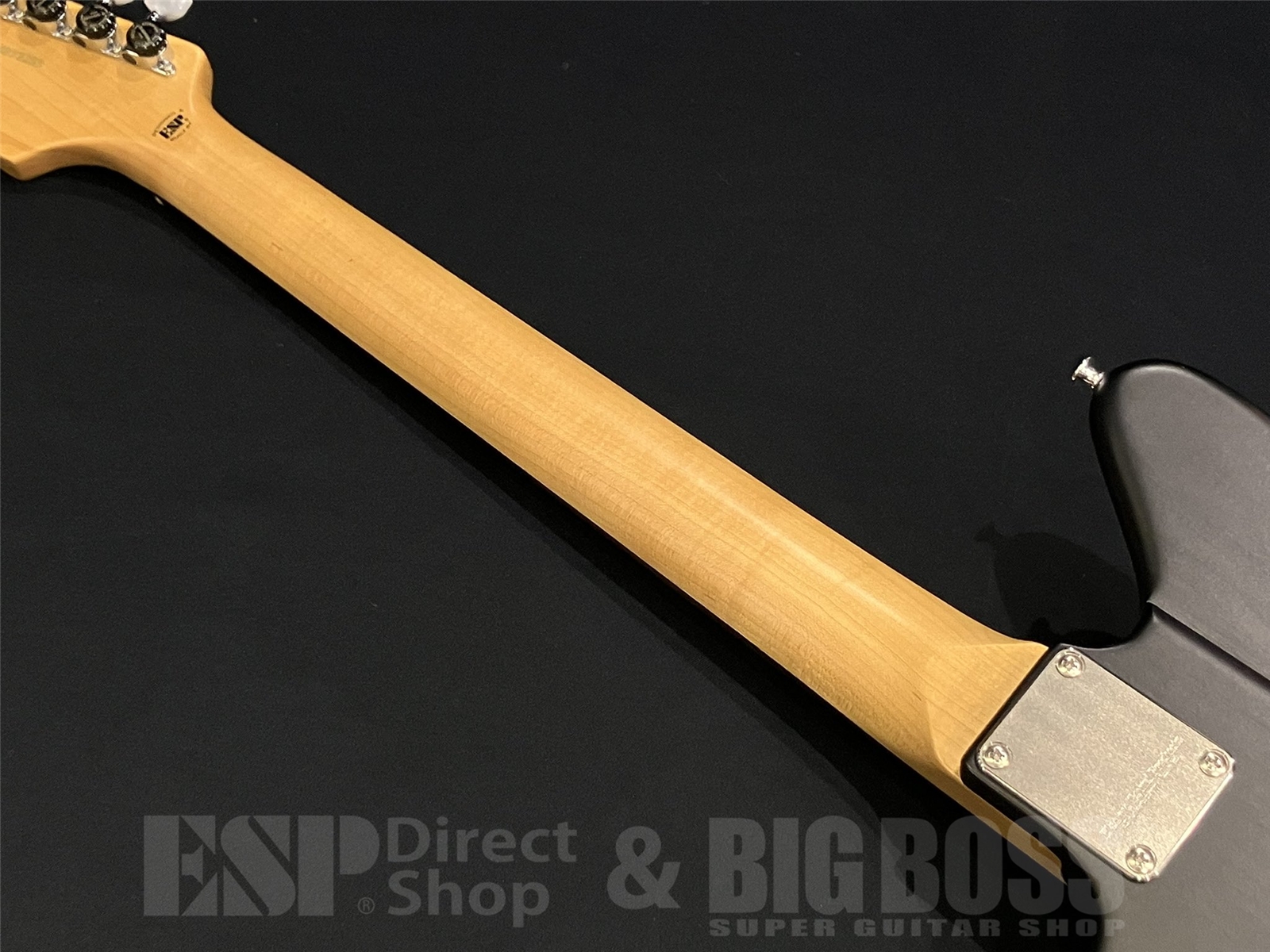 【即納可能】EDWARDS (エドワーズ)Platinum Edition KARMASTER (9mm Parabellum Bullet/滝 善充 Model) 京都店