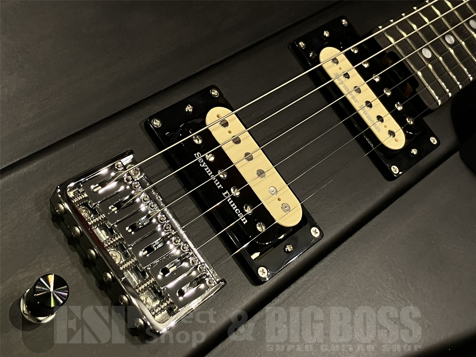 【即納可能】EDWARDS (エドワーズ)Platinum Edition KARMASTER (9mm Parabellum Bullet/滝 善充 Model) 京都店