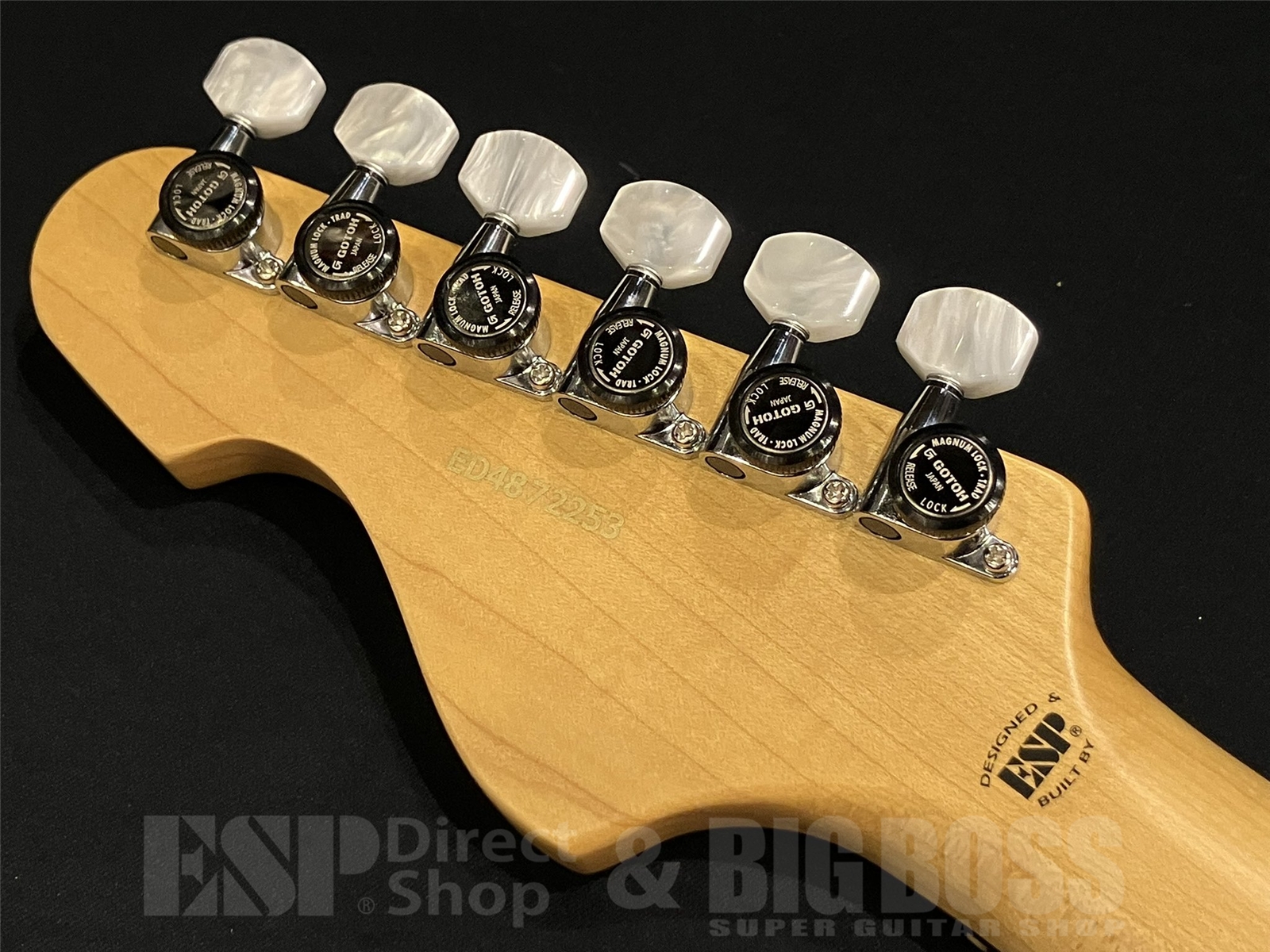 【即納可能】EDWARDS (エドワーズ)Platinum Edition KARMASTER (9mm Parabellum Bullet/滝 善充 Model) 京都店