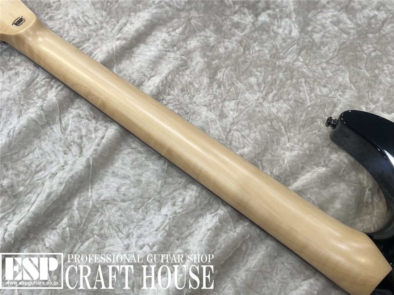 【即納可能】O.Z.Y Takamiy’s Guitar / Black w/Red bevel 渋谷店