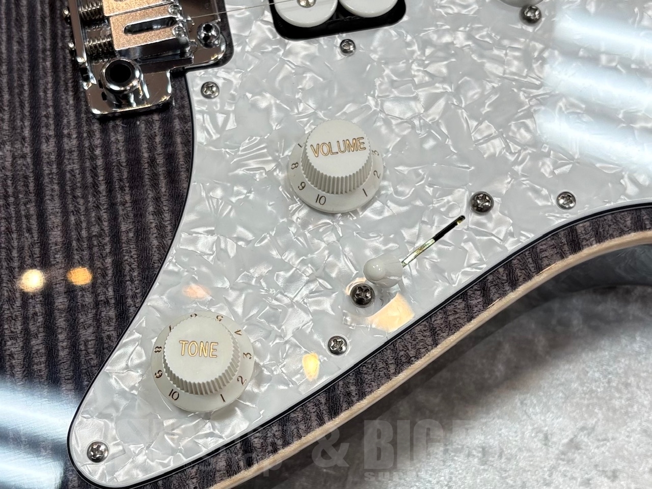 【即納可能】Suhr Standard Plus MH / Trans charcoal / Pau Ferro GWS