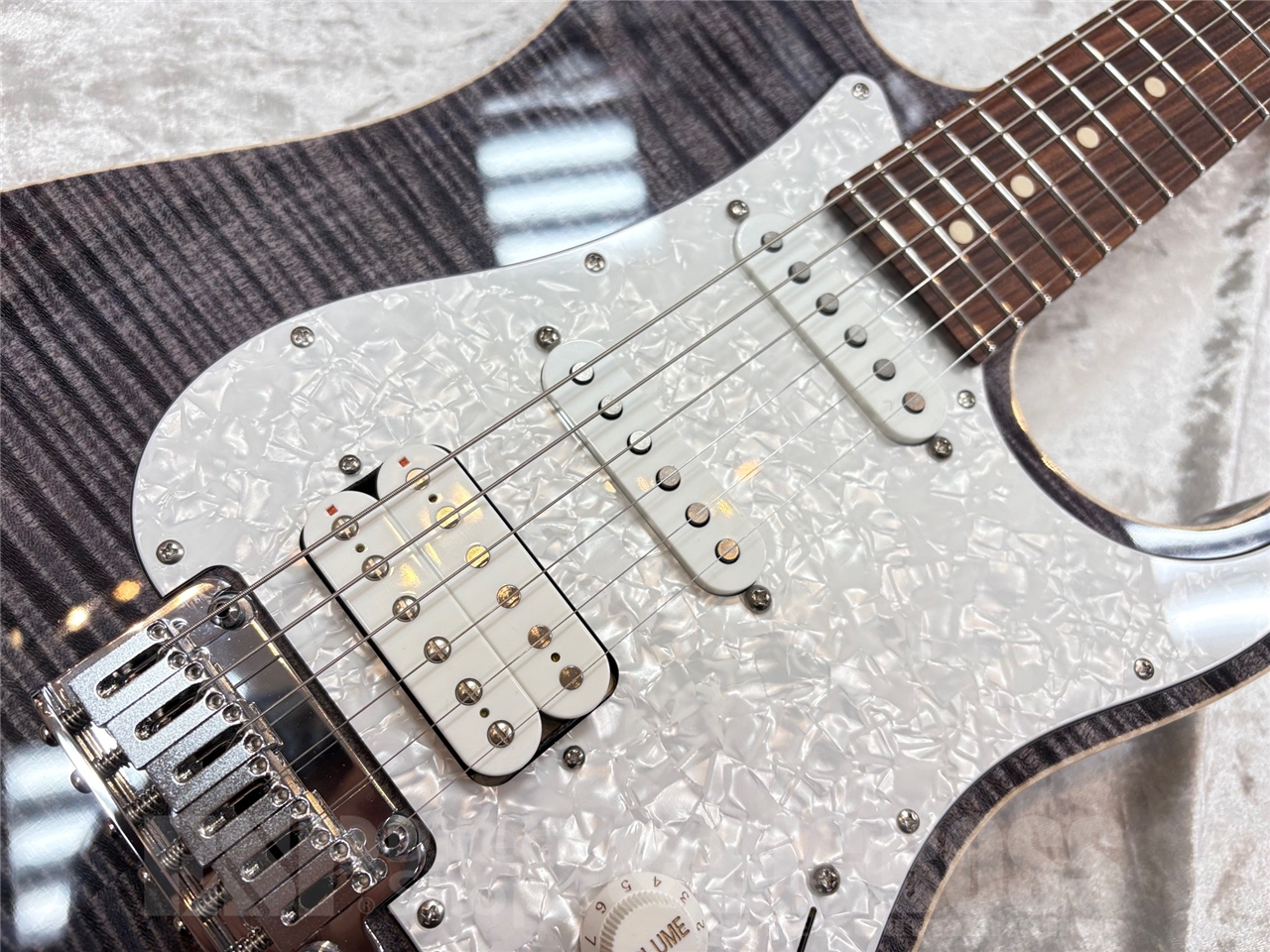 【即納可能】Suhr Standard Plus MH / Trans charcoal / Pau Ferro GWS