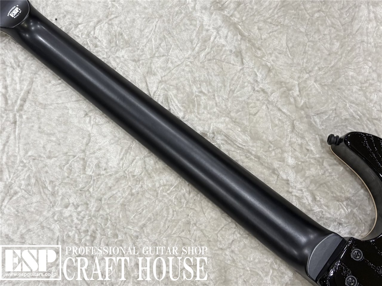 【即納可能】EDWARDS E-M-II CTM / Smoky Black　渋谷店