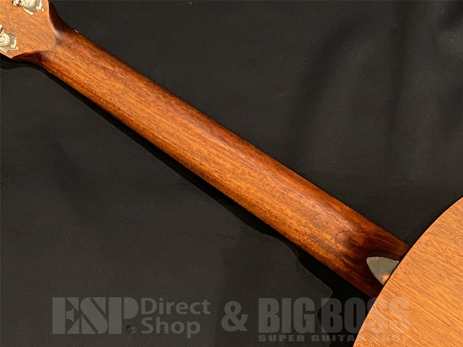 【即納可能】Eastman(イーストマン)E1-OOSS-SB 京都店