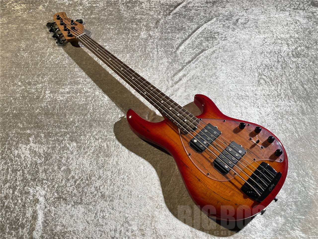 【即納可能】Sterling by MUSIC MAN(スターリンバイミュージックマン) STINGRAY RAY35 HH Spalted Maple Top (Blood Orange Burst) 札幌店