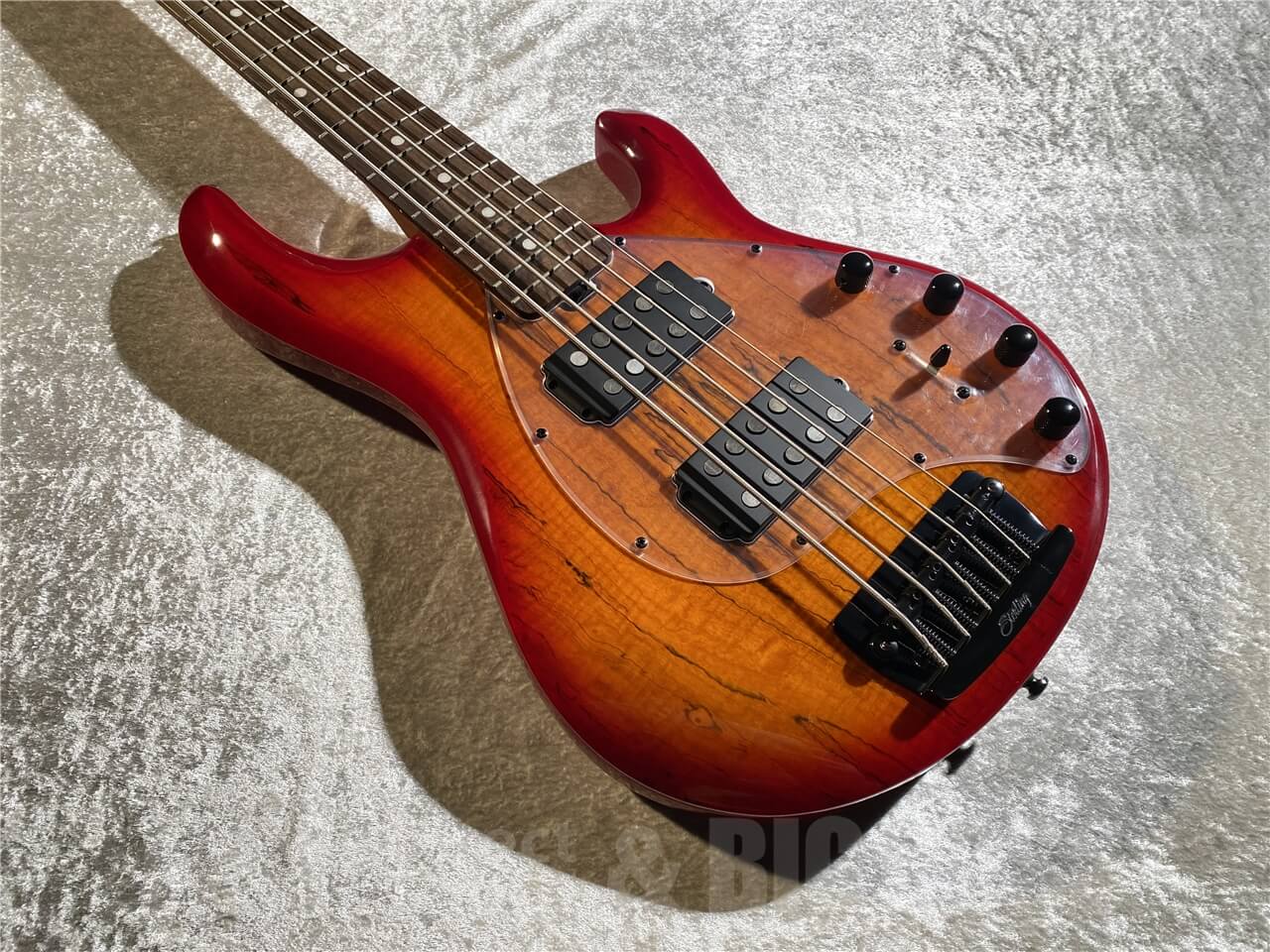 【即納可能】Sterling by MUSIC MAN(スターリンバイミュージックマン) STINGRAY RAY35 HH Spalted Maple Top (Blood Orange Burst) 札幌店