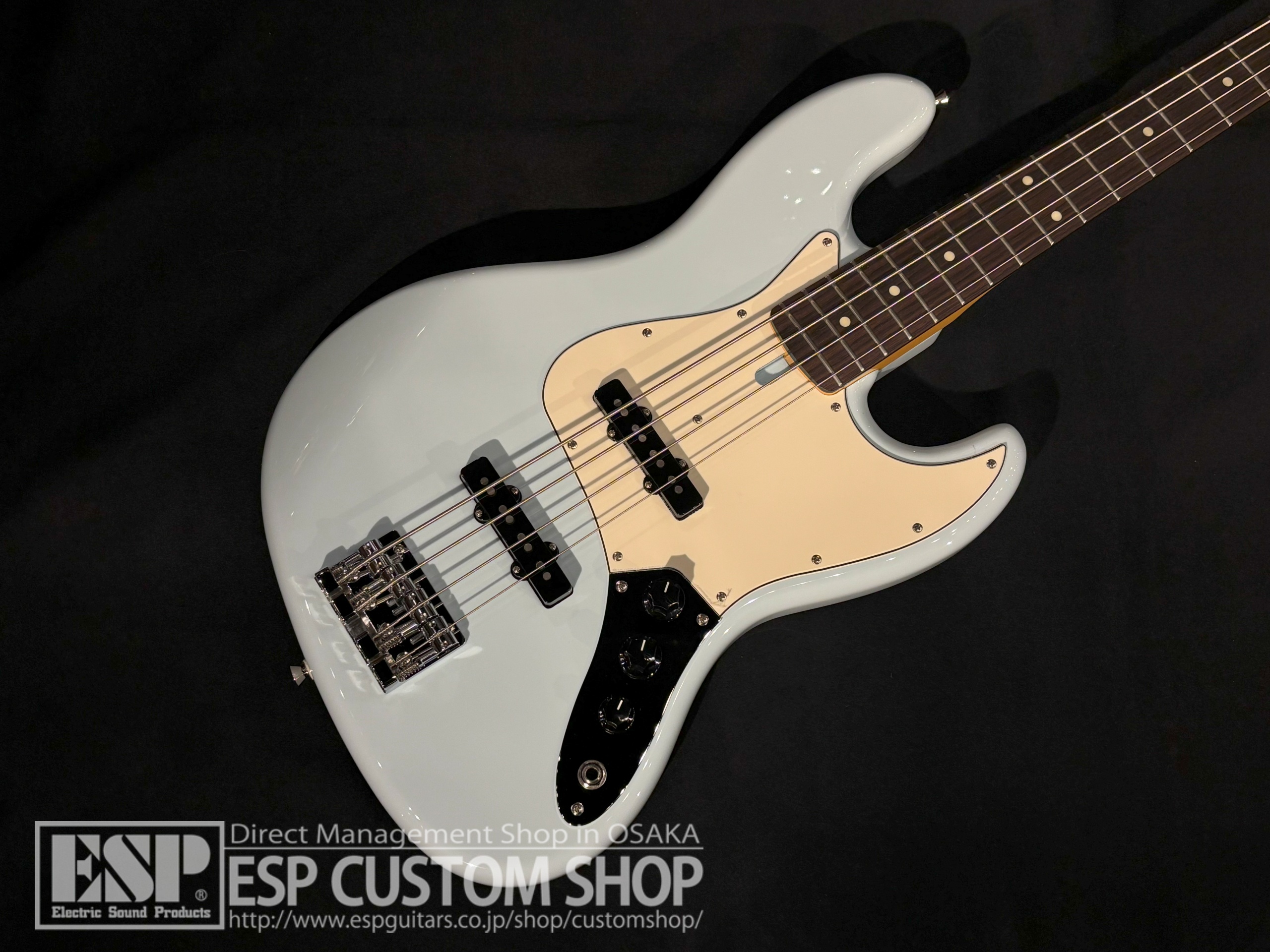 【即納可能】FUJIGEN(FGN) NJB200RAL PSB (Pale Sonic Blue) 大阪店