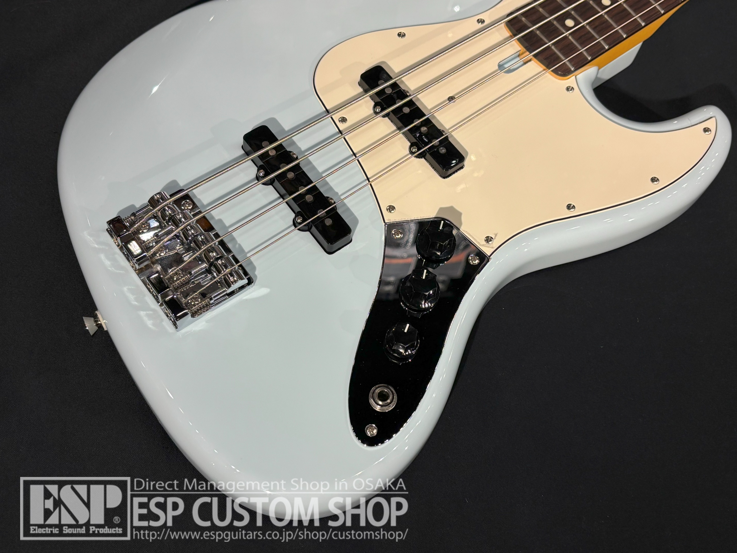 【即納可能】FUJIGEN(FGN) NJB200RAL PSB (Pale Sonic Blue) 大阪店