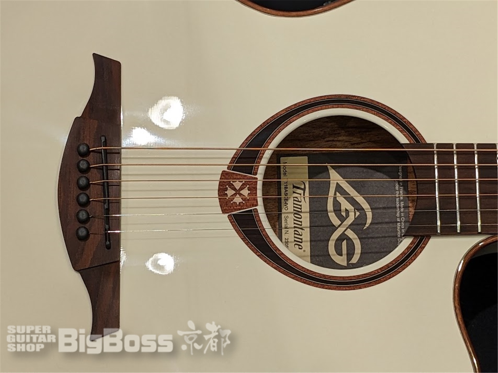 【即納可能】LAG Guitars(ラグギターズ) T118ASCE / Ivory 京都店