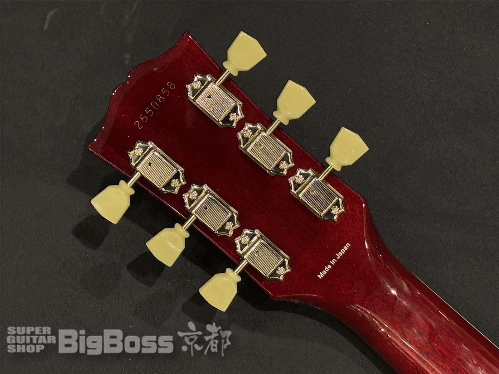 【即納可能】Tokai(トーカイ) LS-101F / See Through Dark Red 京都店