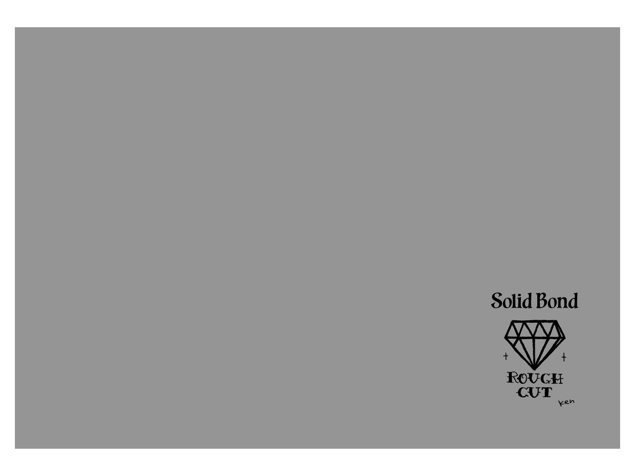 Solid Bond(ソリッドボンド) Polish Cloth Diamond [PC-KY-DIA] (ギター＆ベースクロス)