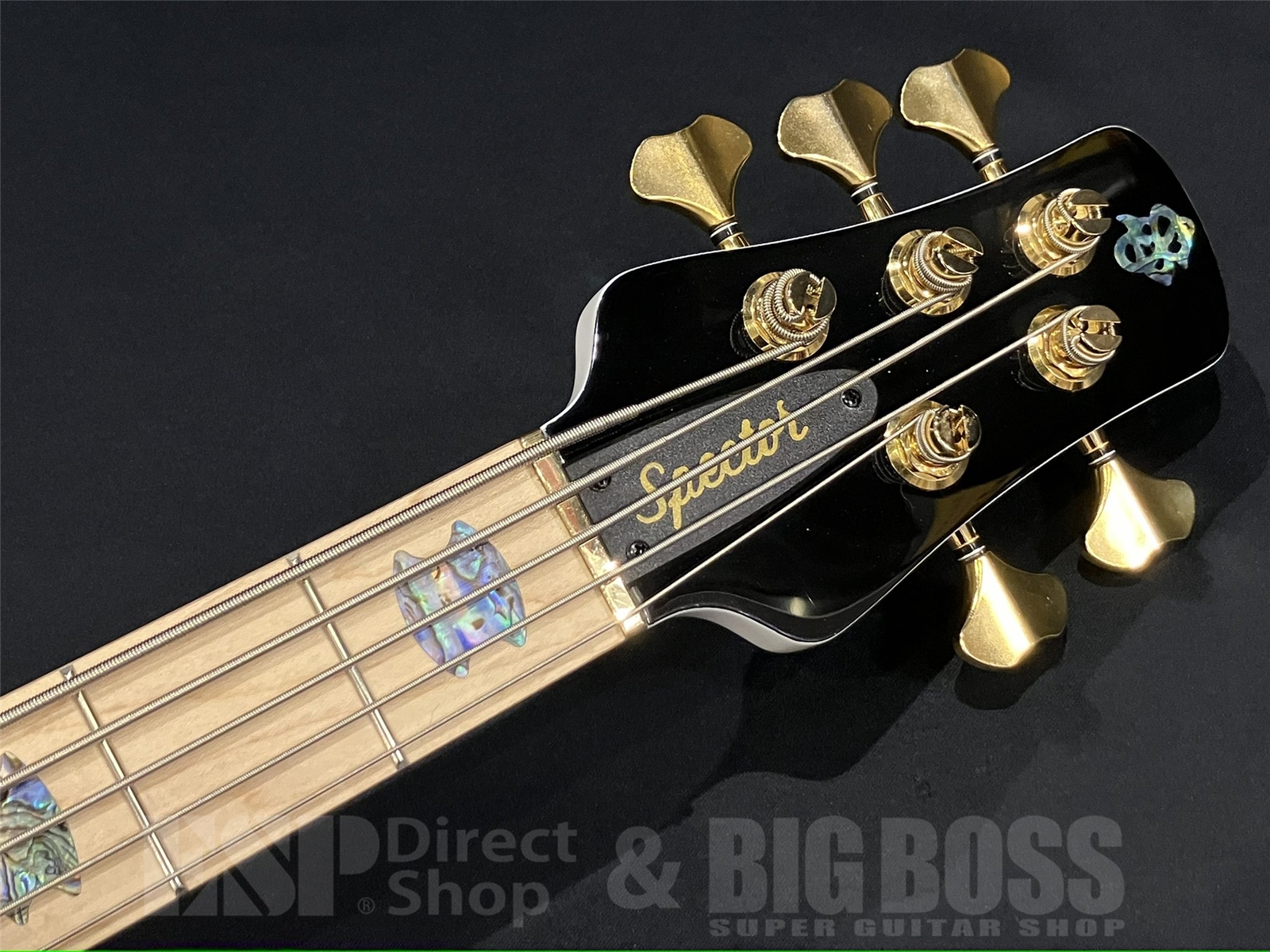 【即納可能】Spector(スペクター) EURO CST Japan Exclusive Series EURO 5 CST BK&BL w/WH Back Gloss / EURO 5 CST BK&BL w/WH Back Gloss 京都店 - 6