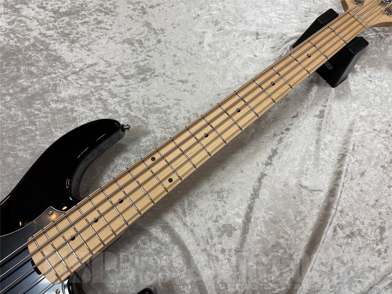 【即納可能】ESP AMAZE-AS-5 / Color Order GWS - 6